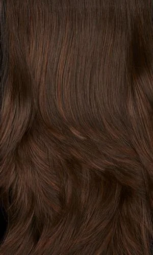 6H - Chestnut Brown/Auburn Htls