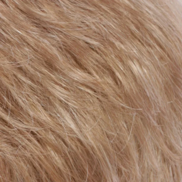 R20F | Light Auburn/Golden Blonde Frost