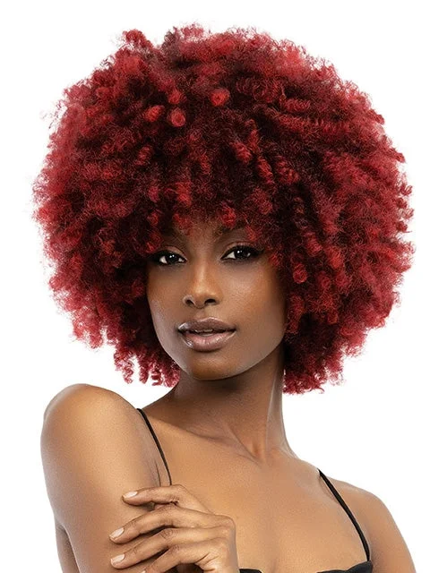 Janet Collection Natural Curly Premium Synthetic Wig - NATURAL AFRO KANE  *SALE