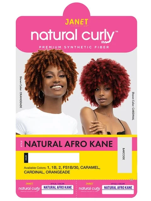 Janet Collection Natural Curly Premium Synthetic Wig - NATURAL AFRO KANE  *SALE