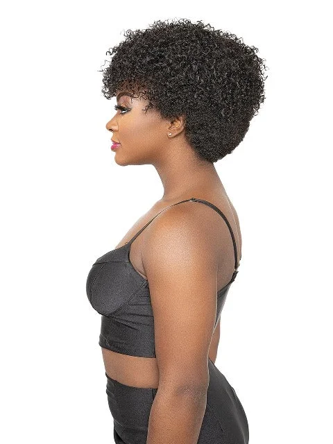 Janet Collection Natural Premium Synthetic Wig - AFRO EDEN